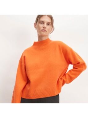 Everlane The Good
Merino Wool Mockneck
Sweater